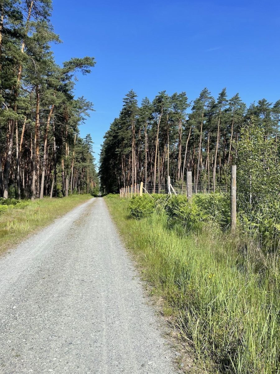 Działka budowlana na sprzedaż Rybnik, Grabownia  1 238m2 Foto 7