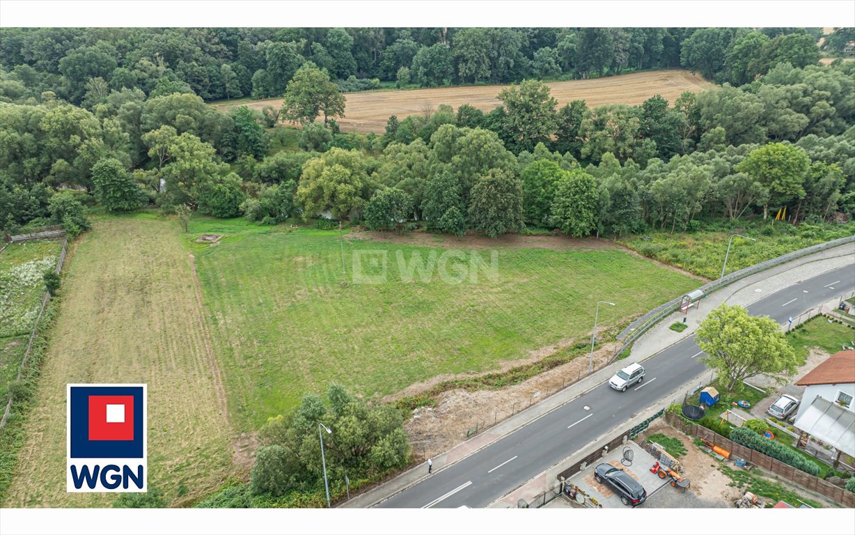 Działka budowlana na sprzedaż Bolesławiec, zabobrze  3 500m2 Foto 4