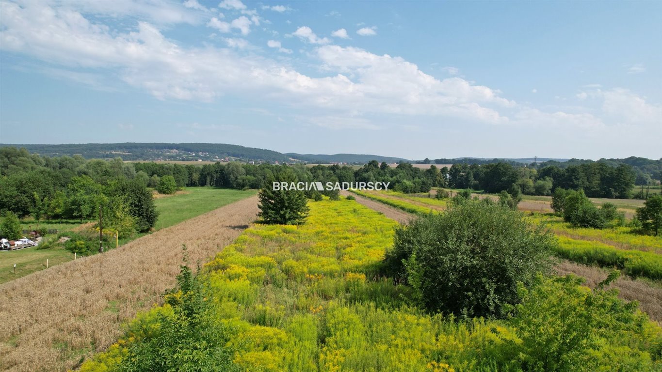 Działka inna na sprzedaż Nawojowa Góra, Krakowska  13 045m2 Foto 13