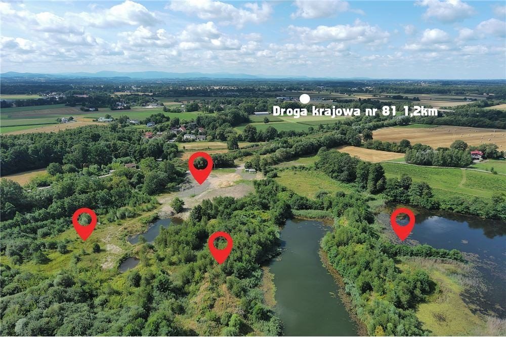 Polecam działkę 57 500 m² z potencjałem przemysłowym w Zabłociu Zabłocie, Pasieczna 0  57 500m2 Foto 1