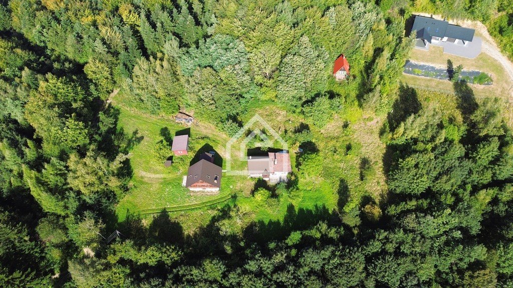 Działka rekreacyjna na sprzedaż Rozdziele  7 000m2 Foto 2