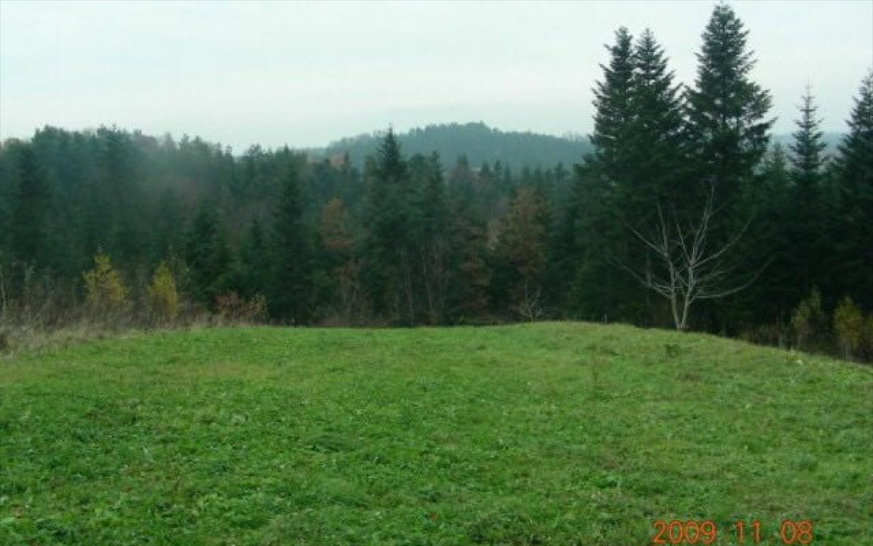 Działka budowlana na sprzedaż Rzepiennik Strzyżewski, RZEPIENNIK STRZYŻEWSKI  18 300m2 Foto 2