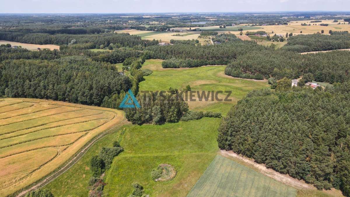 Działka rolna na sprzedaż Zielona Góra  8 155m2 Foto 2