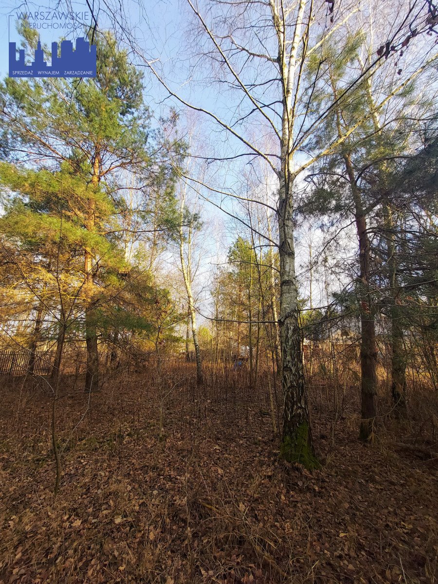 Działka budowlana na sprzedaż Borowina, Zaleśna  1 129m2 Foto 8