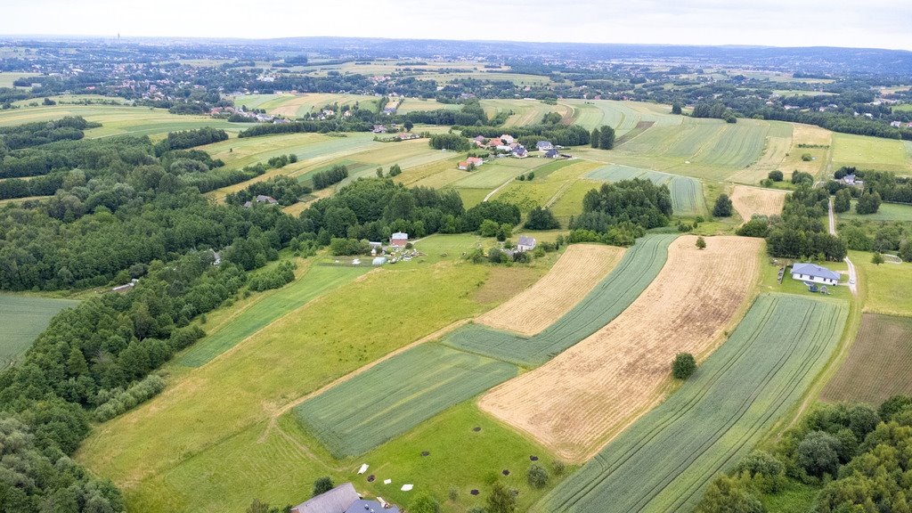 Działka budowlana na sprzedaż Niechobrz  18 300m2 Foto 14