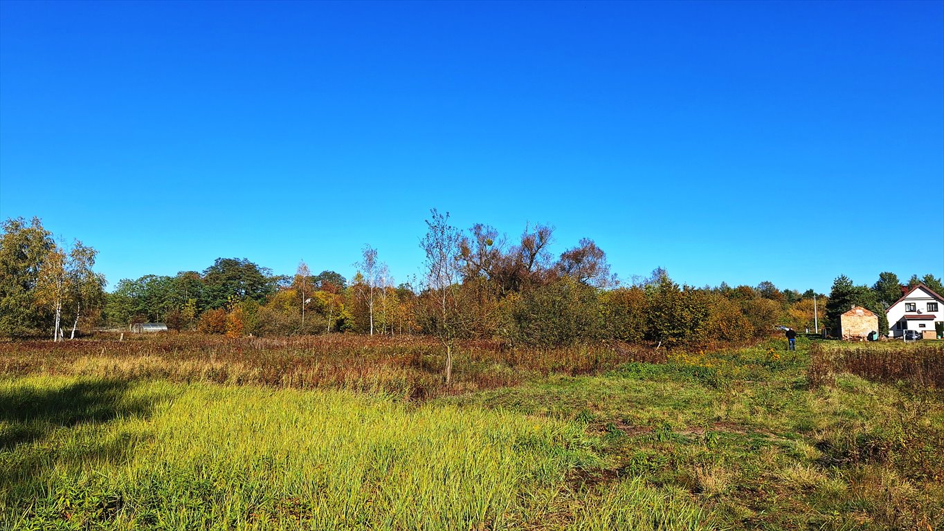 Działka budowlana na sprzedaż Łomianki, Dąbrowa, Prosta  1 005m2 Foto 4