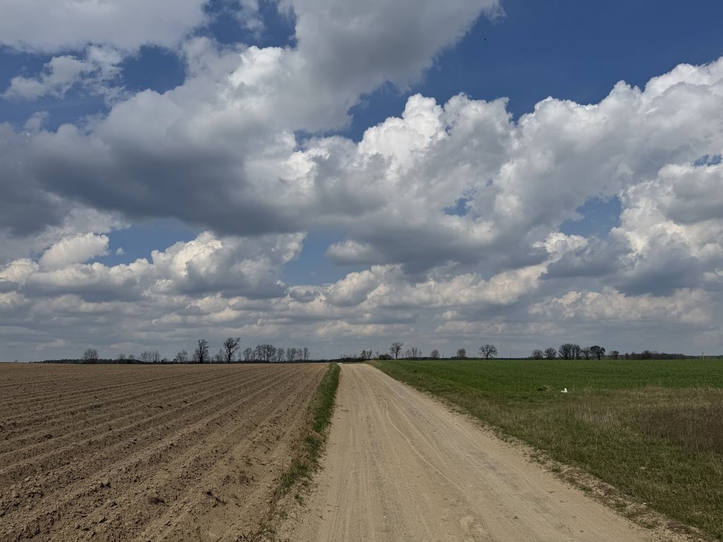 Działka budowlana na sprzedaż Uzarzewo-Huby  1 012m2 Foto 4