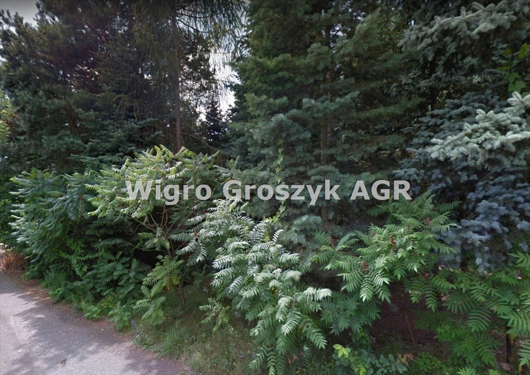 Działka 1894 m² z domem w Hornówku – idealna pod zabudowę Hornówek  1 894m2 Foto 1