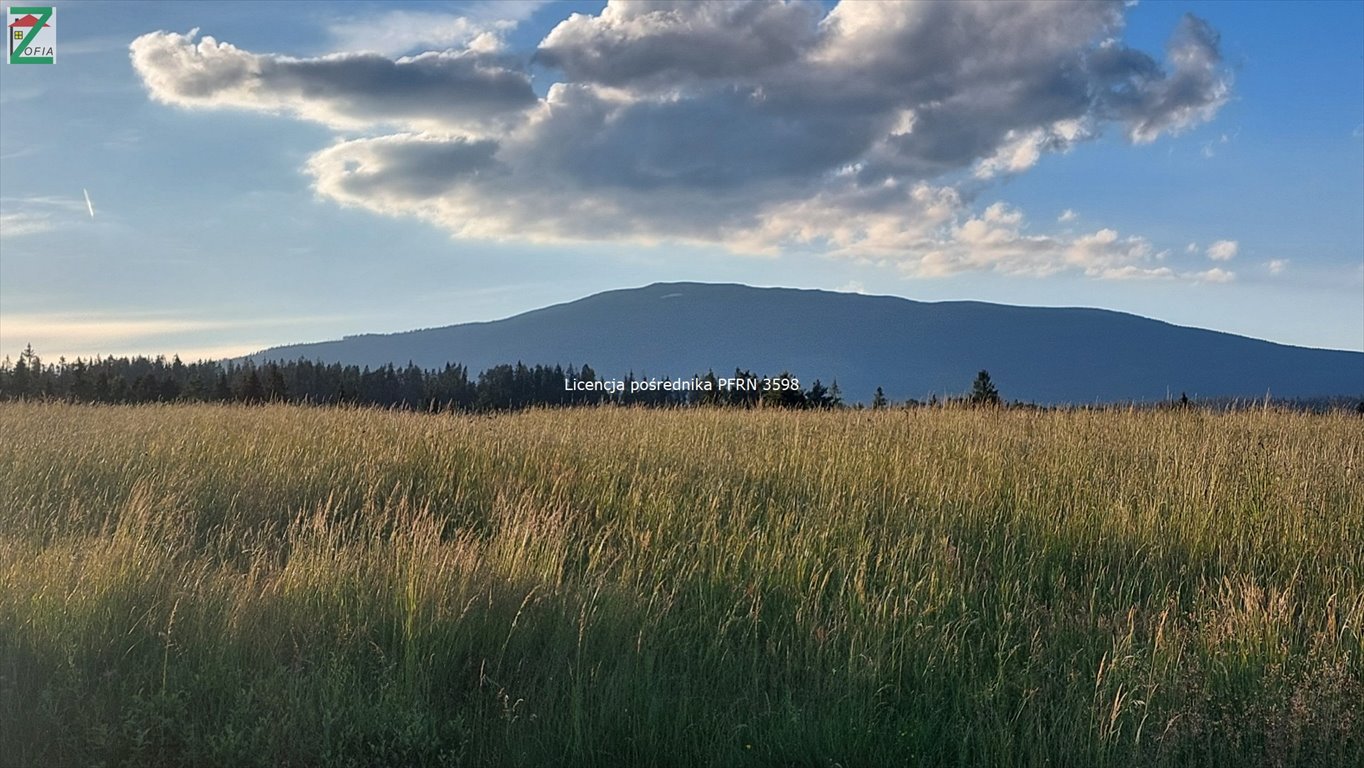 Działka inwestycyjna na sprzedaż Lipnica Wielka  4 000m2 Foto 1