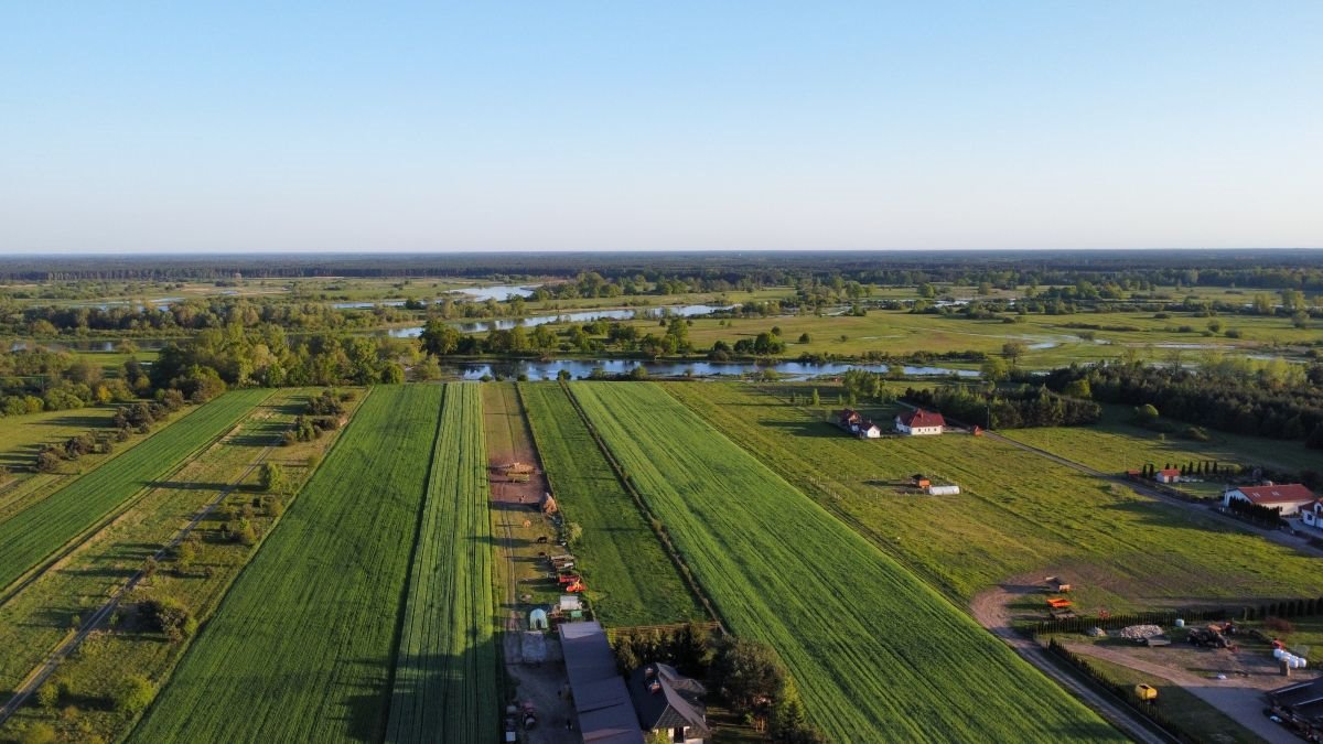 Działka budowlana na sprzedaż Brańszczyk  1 001m2 Foto 6