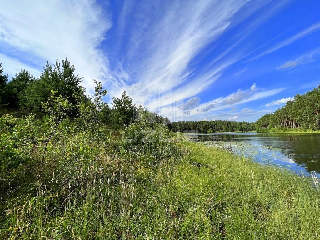 Działka inna na sprzedaż Cieciorka  4 539m2 Foto 15