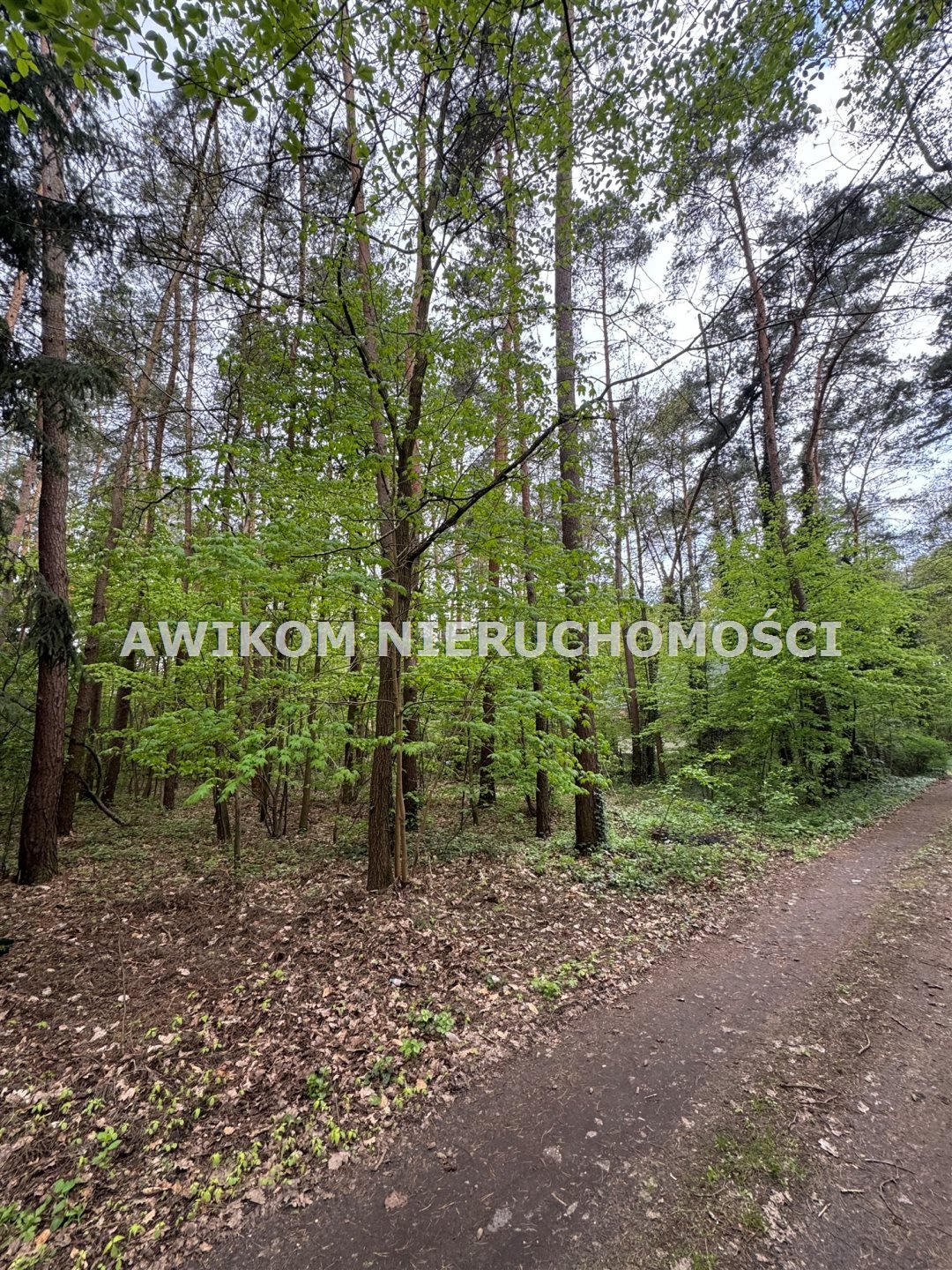 Działka leśna na sprzedaż Władysławów  909m2 Foto 3