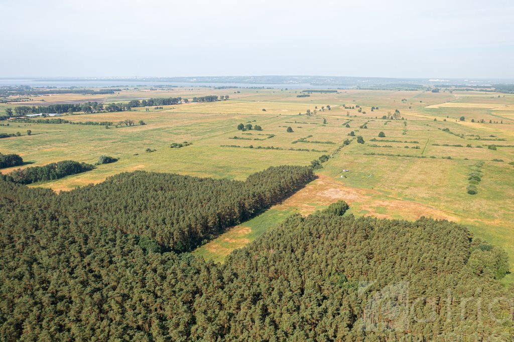 Działka rolna na sprzedaż Komarowo  3 167m2 Foto 5