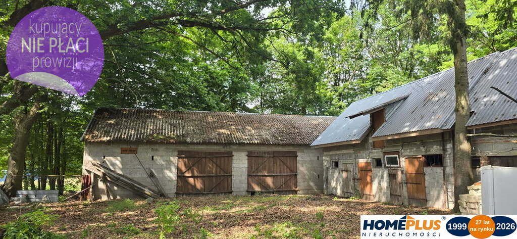 Siedlisko z budynkami i 18 410 m2 ziemi w Chrzęsne. Chrzęsne  18 410m2 Foto 1
