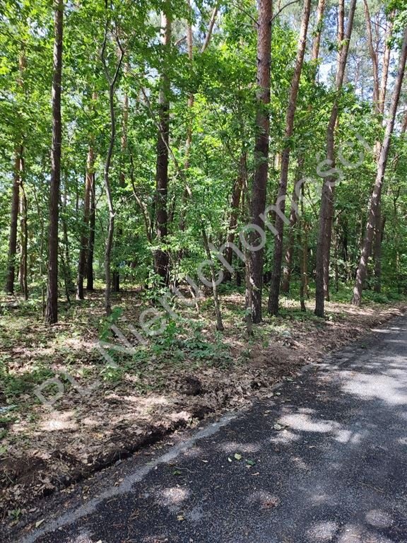 Działka z lasem, pod budowę, 1350 m² w Żółwinie. Żółwin  1 350m2 Foto 1