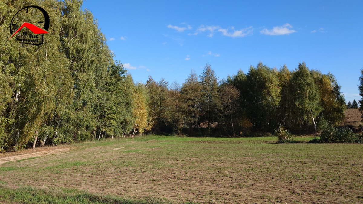 Działka gospodarstwo rolne na sprzedaż Topólka  1 500m2 Foto 2