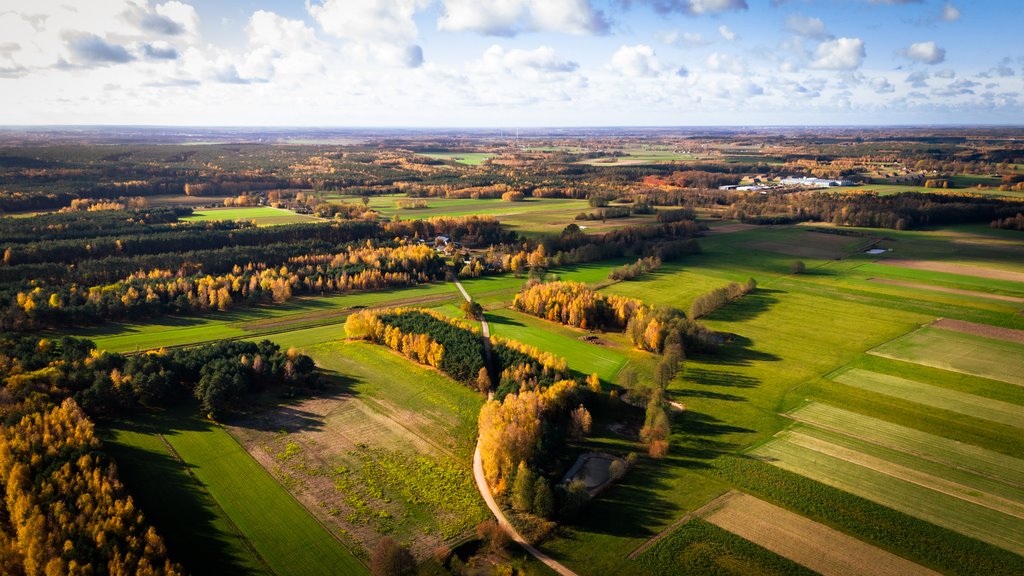 Działka budowlana na sprzedaż Wodzierady  2 618m2 Foto 6