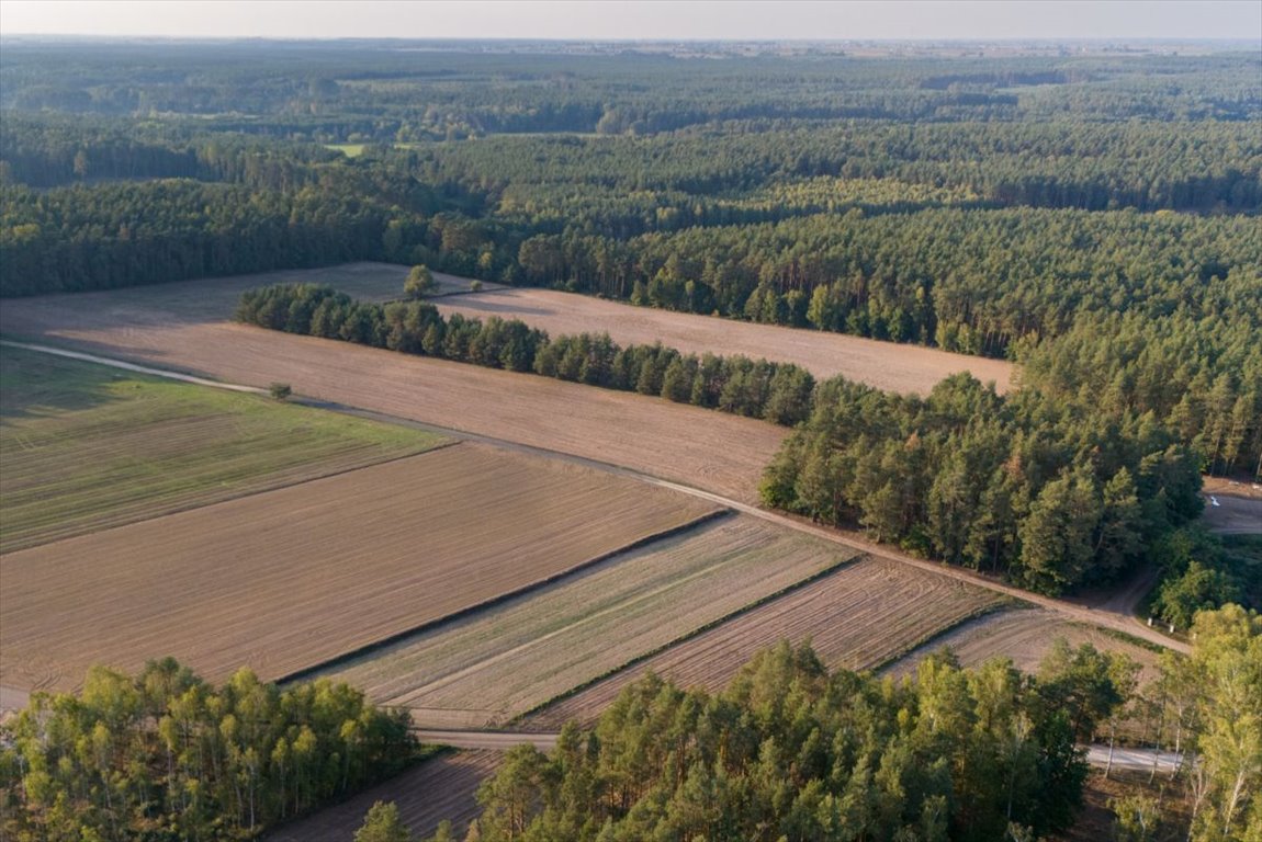 Działka rolna na sprzedaż Jesionka  2 800m2 Foto 4