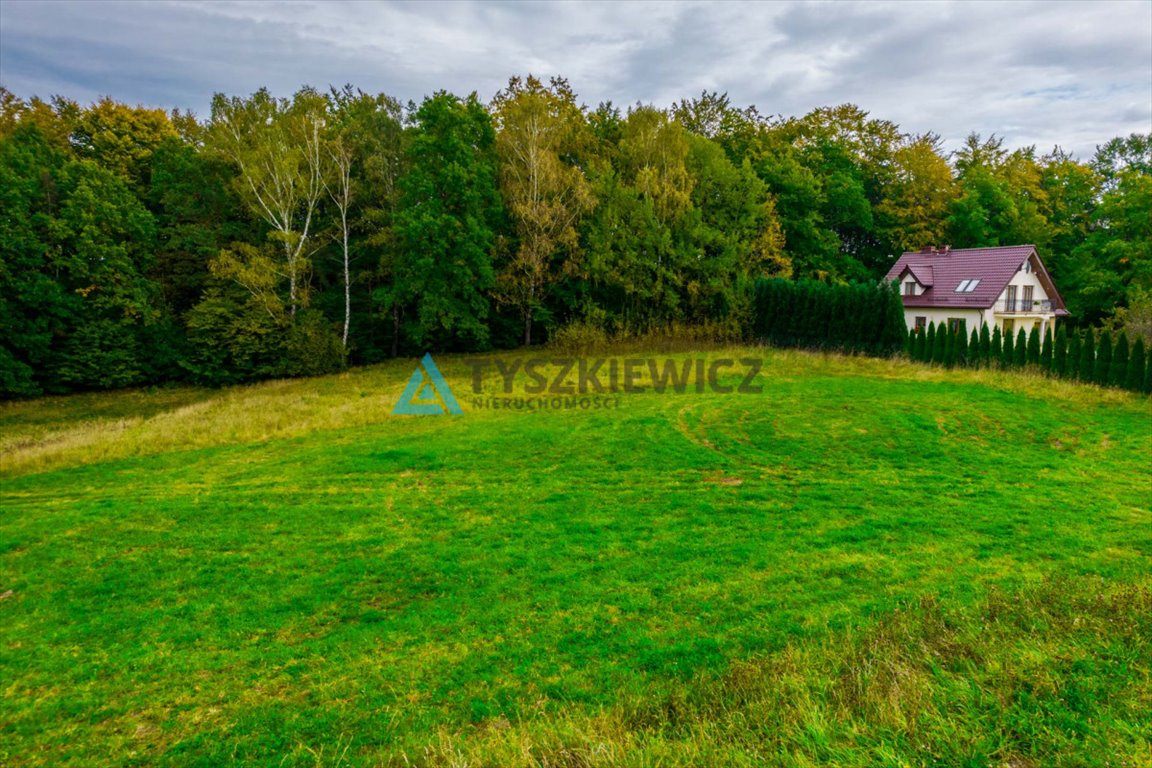 Działka rolna na sprzedaż Stara Huta  3 500m2 Foto 12