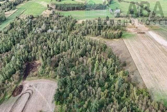 Działka rolna na sprzedaż Brzózki  30 500m2 Foto 3