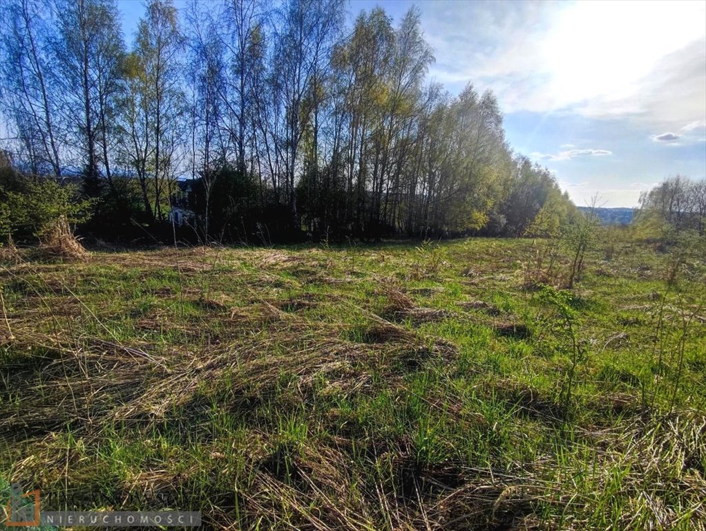 Działka rolna 56 arów z dojazdem asfaltowym i mediami Brzozówka Korzkiewska  5 600m2 Foto 1