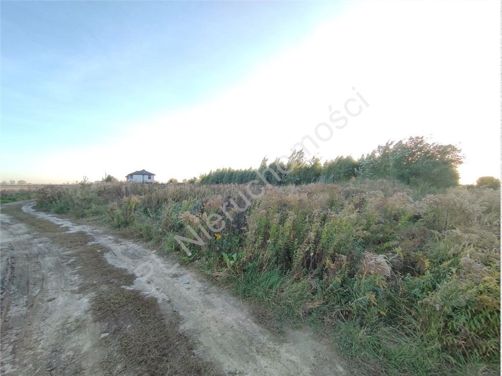 Działka budowlana na sprzedaż Płochocin  1 082m2 Foto 5