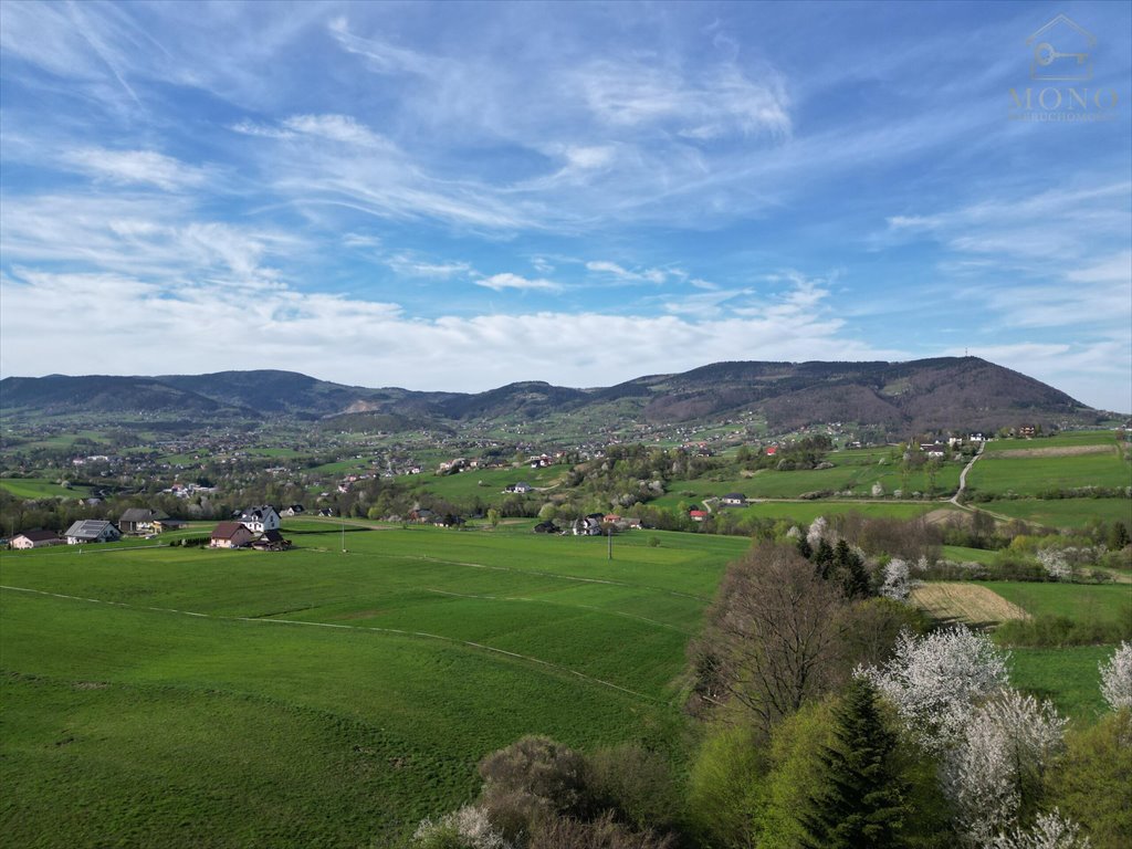 Działka rolna na sprzedaż Krasne Potockie  8 200m2 Foto 4