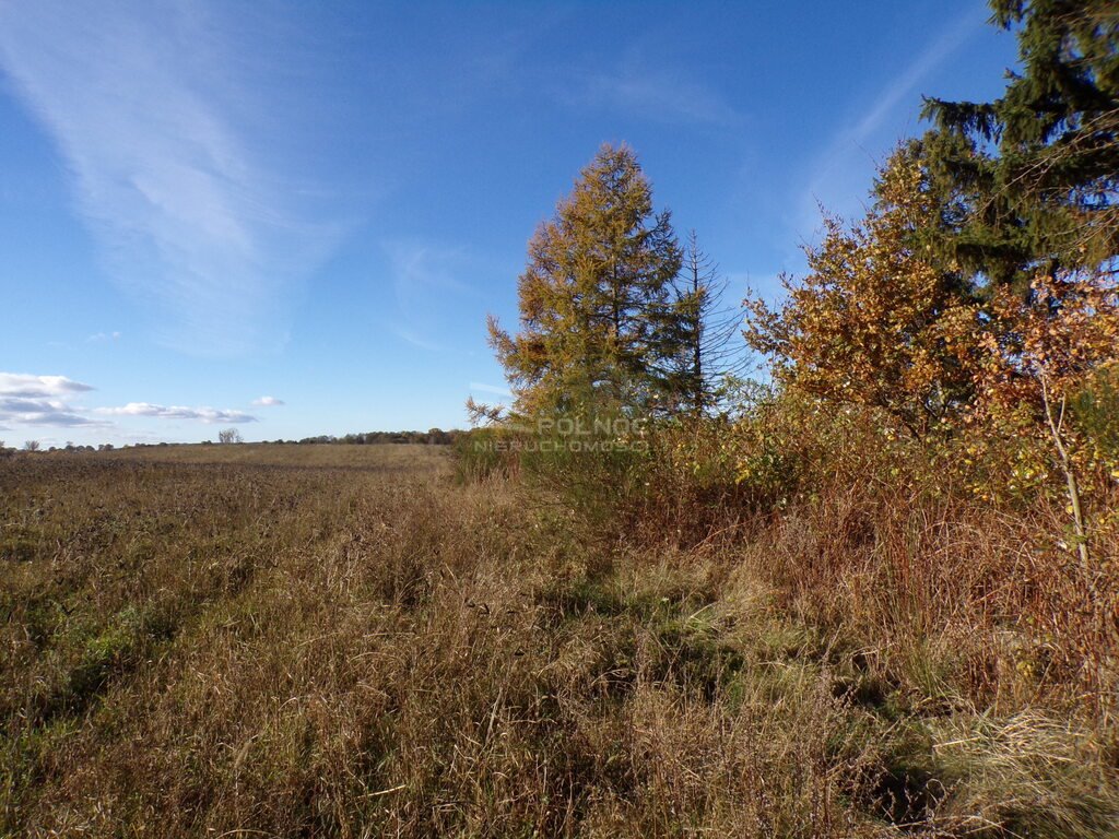 Działka budowlana na sprzedaż Wierzchocino  2 000m2 Foto 5