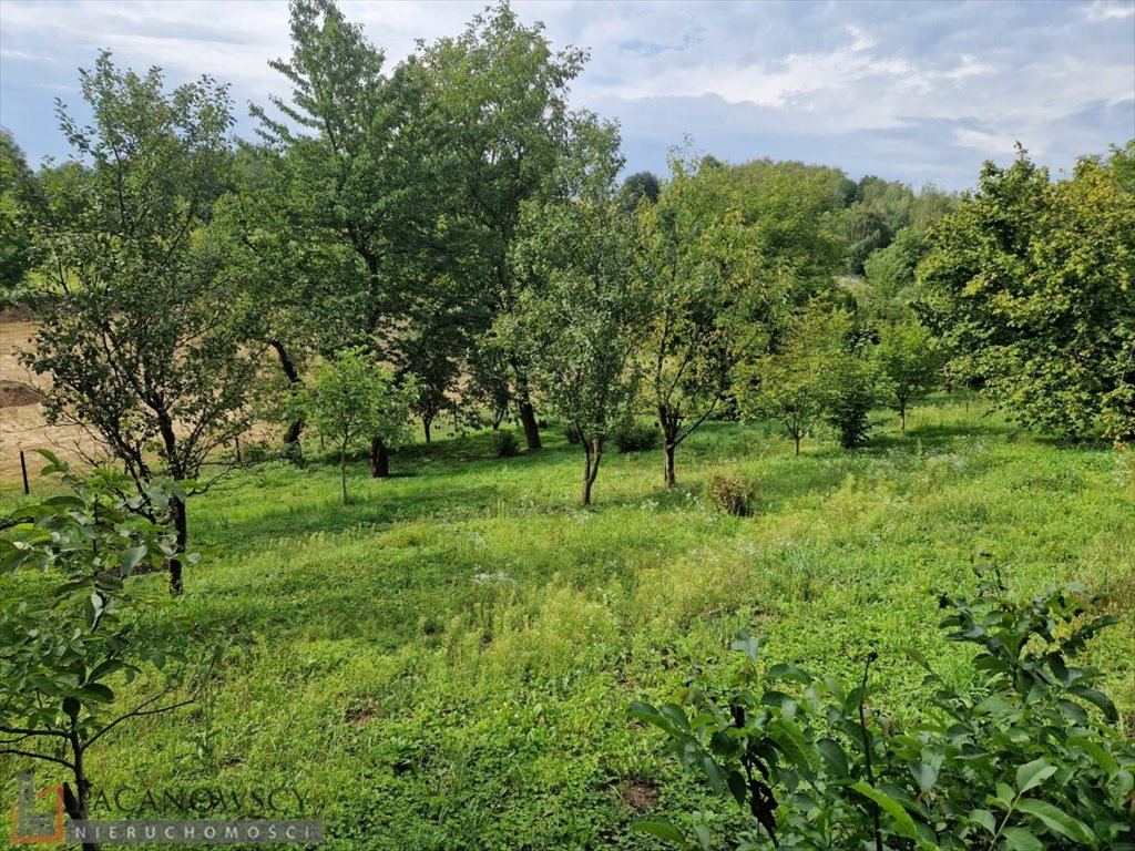 Zdjęcie 2