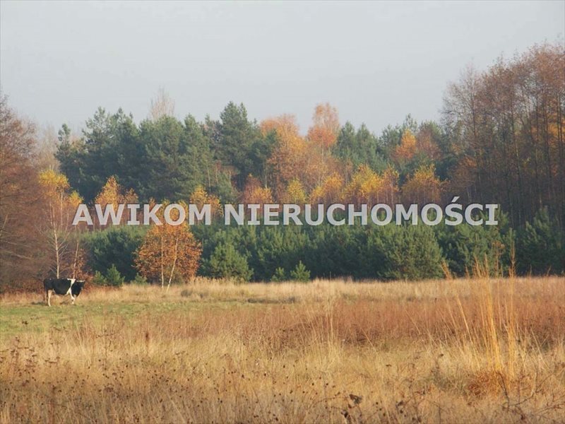 Do sprzedania działka 10 300 m² z możliwością zabudowy Skierniewice, Borowiny  10 300m2 Foto 1