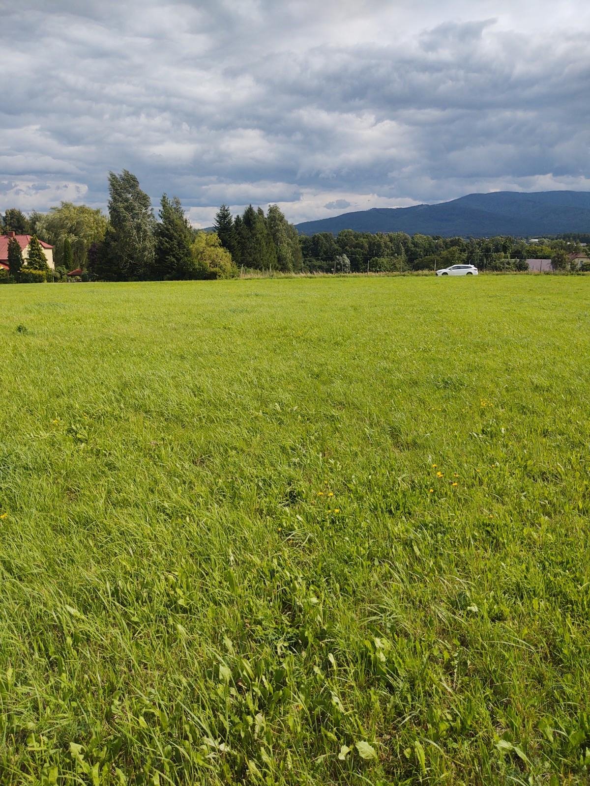 Działka budowlana na sprzedaż Międzyrzecze Górne  1 175m2 Foto 7