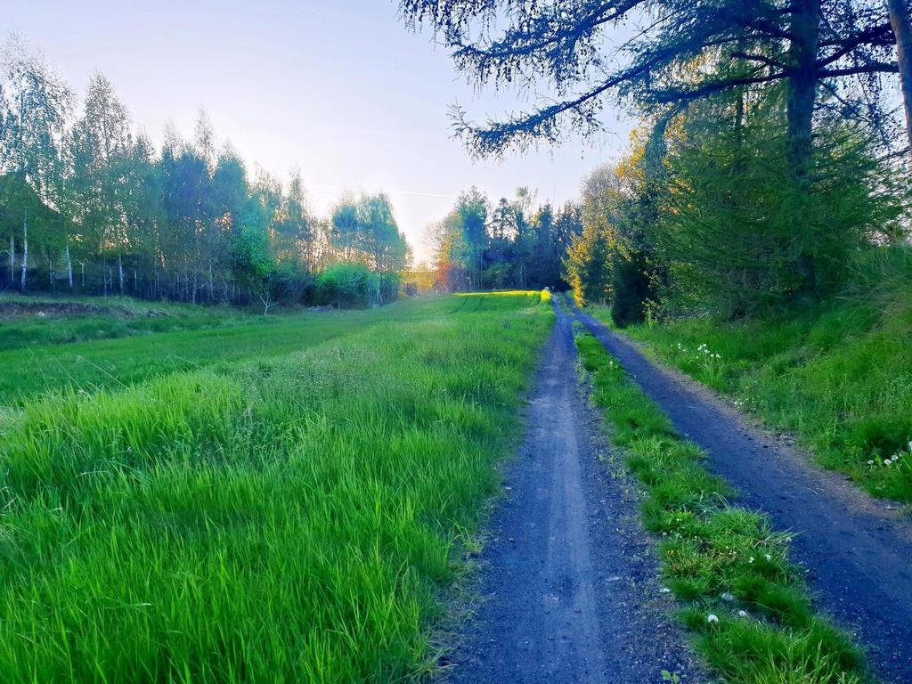 Działka budowlana 32 arów, pierwsza linia, media, spokojna okolica Zemborzyce Podleśne  3 200m2 Foto 1