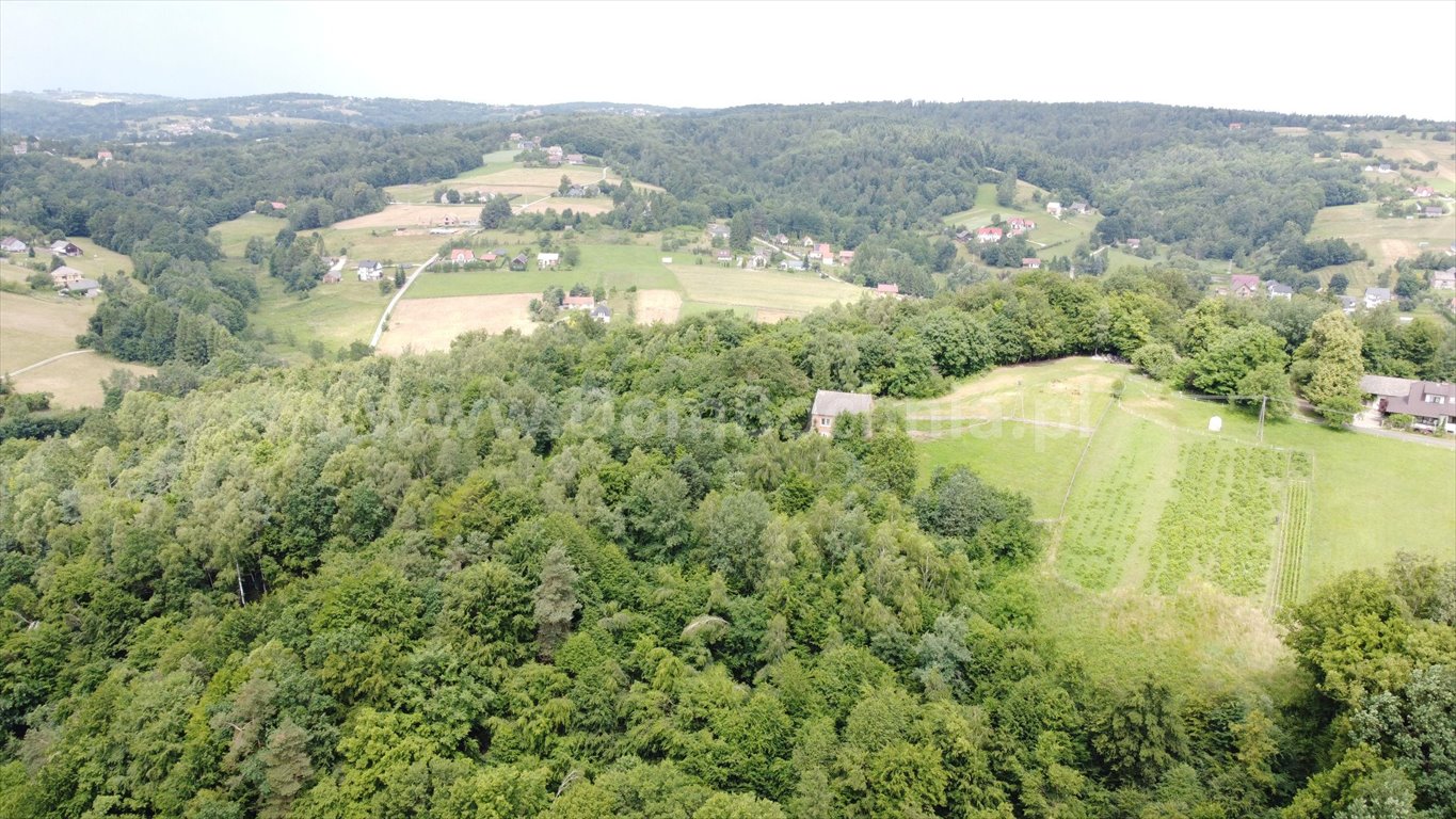 Działka budowlana na sprzedaż Nowy Wiśnicz  56 000m2 Foto 8