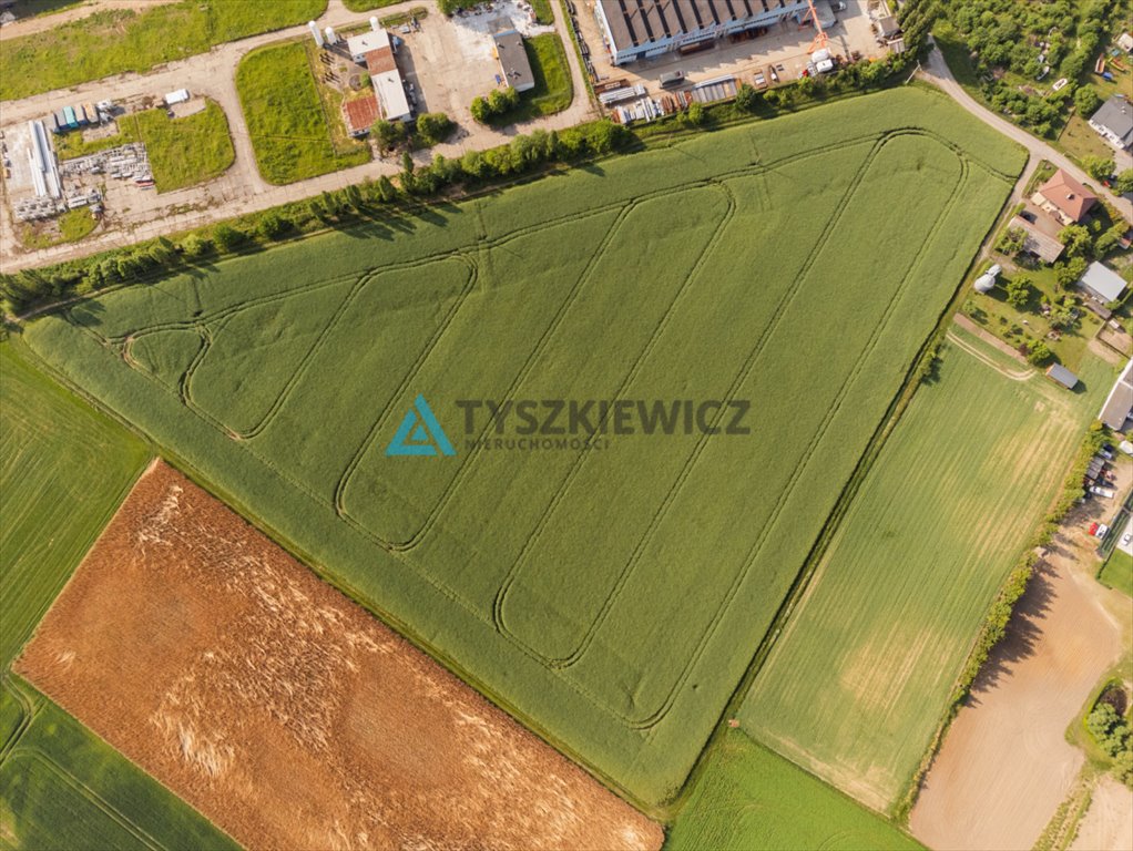 Działka przemysłowo-handlowa na sprzedaż Chojnice, Liściasta  41 808m2 Foto 5