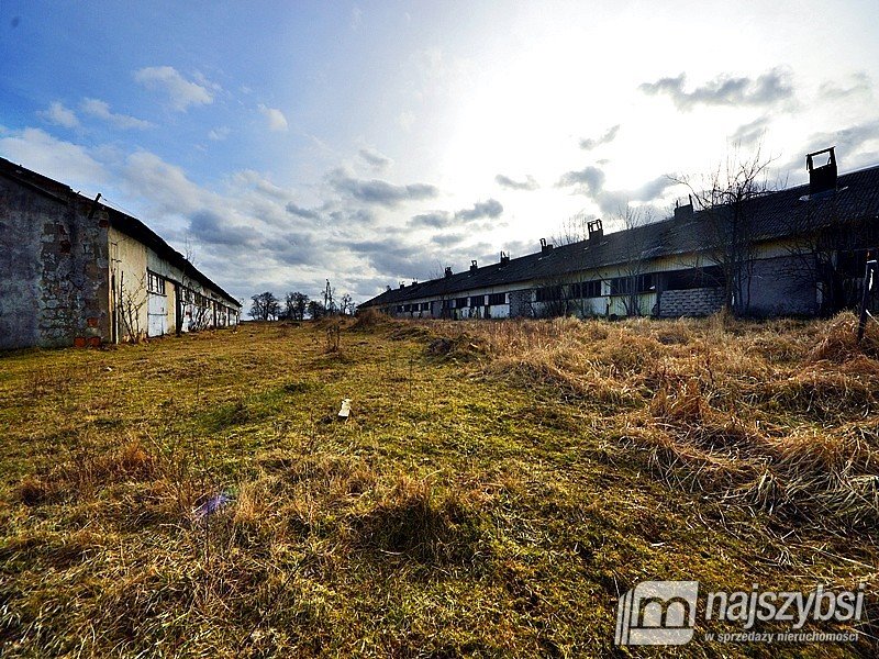 Lokal użytkowy na sprzedaż Choszczno  555 000m2 Foto 17