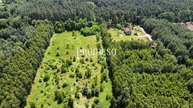 Działka inna na sprzedaż Ostrowina, Aleja Lipowa  3 371m2 Foto 12