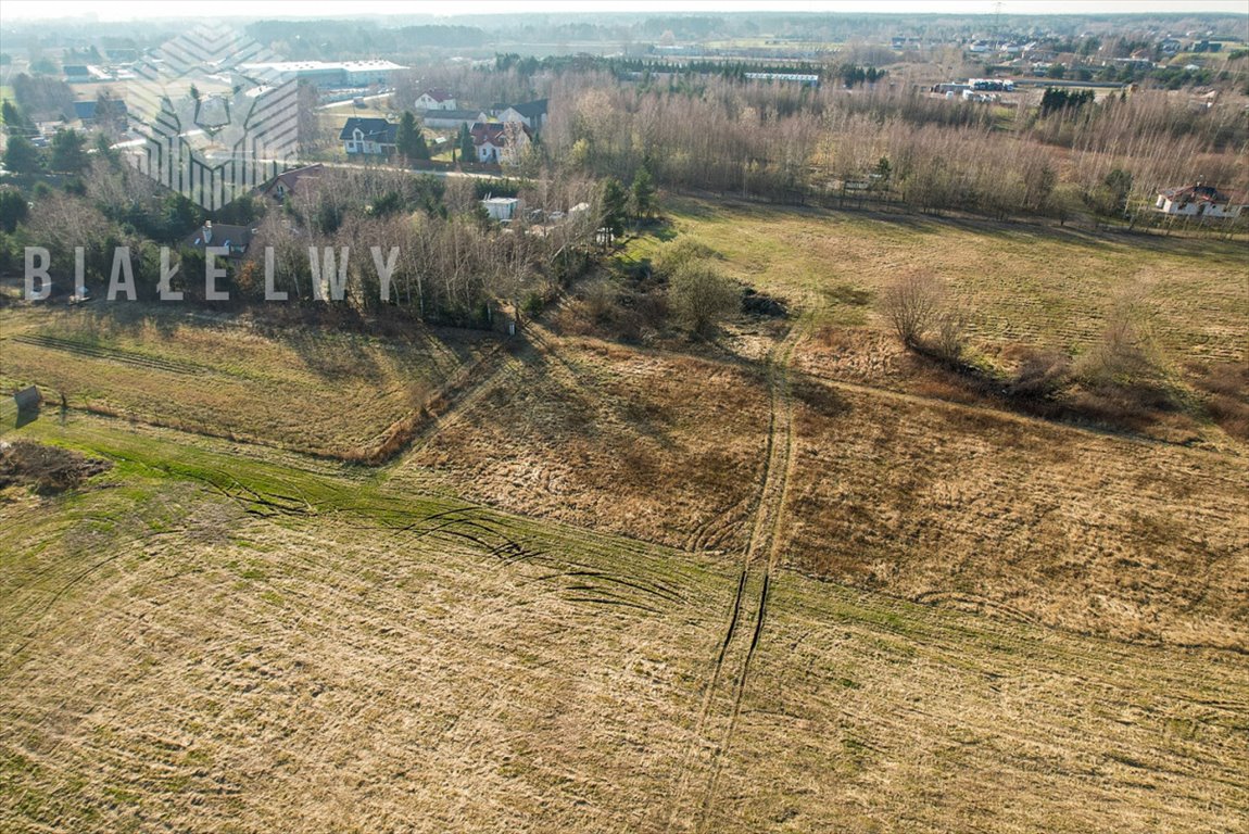 Działka budowlana na sprzedaż Wilcza Góra, Polna  2 519m2 Foto 4