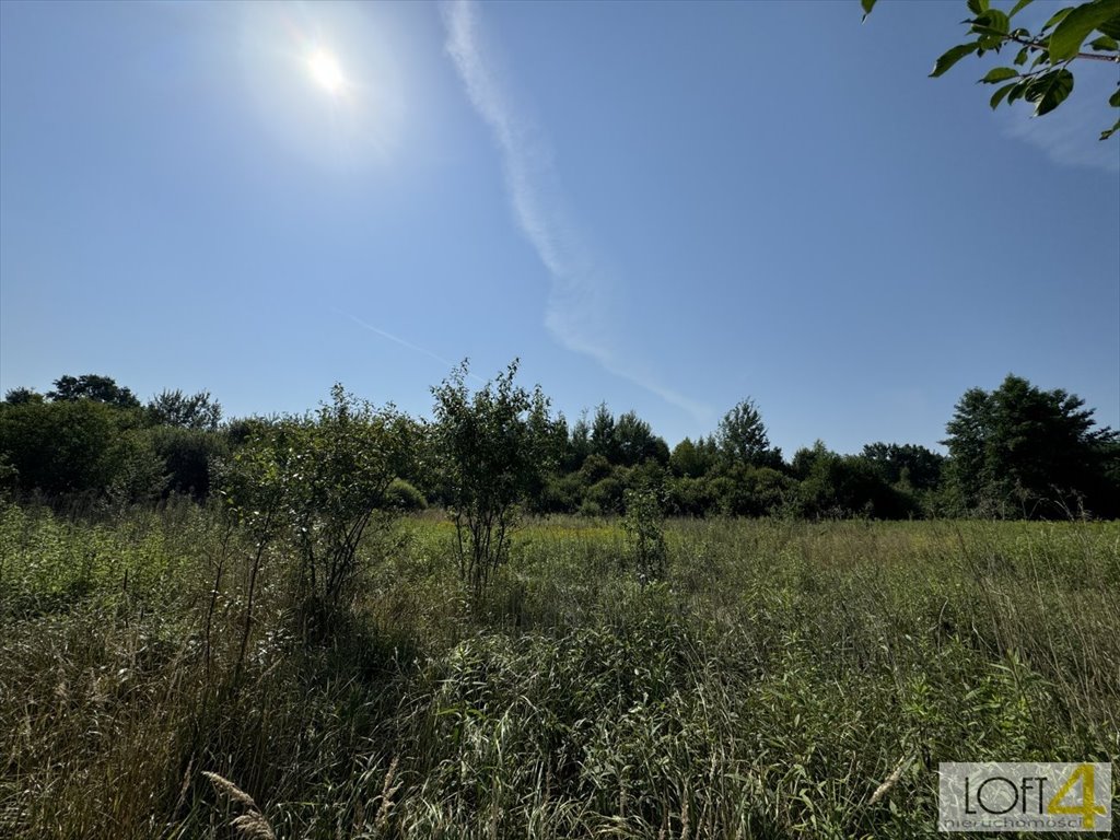 Działka budowlana na sprzedaż Łęki  3 600m2 Foto 4