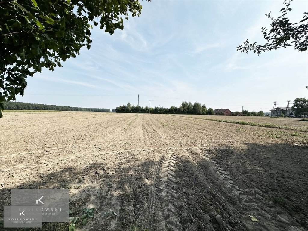 Działka inna na sprzedaż Stogniewice, Stogniewice  3 500m2 Foto 5