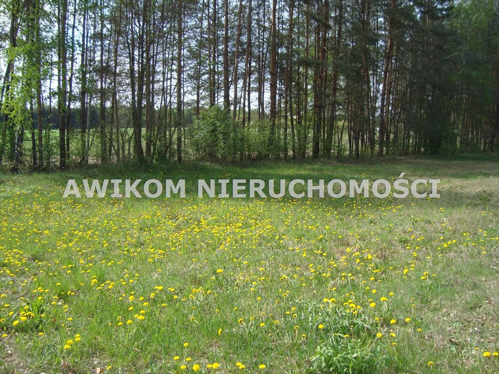 Działka 11 800 m² z MPZP, podział, media, lasy Zaręby  11 800m2 Foto 1