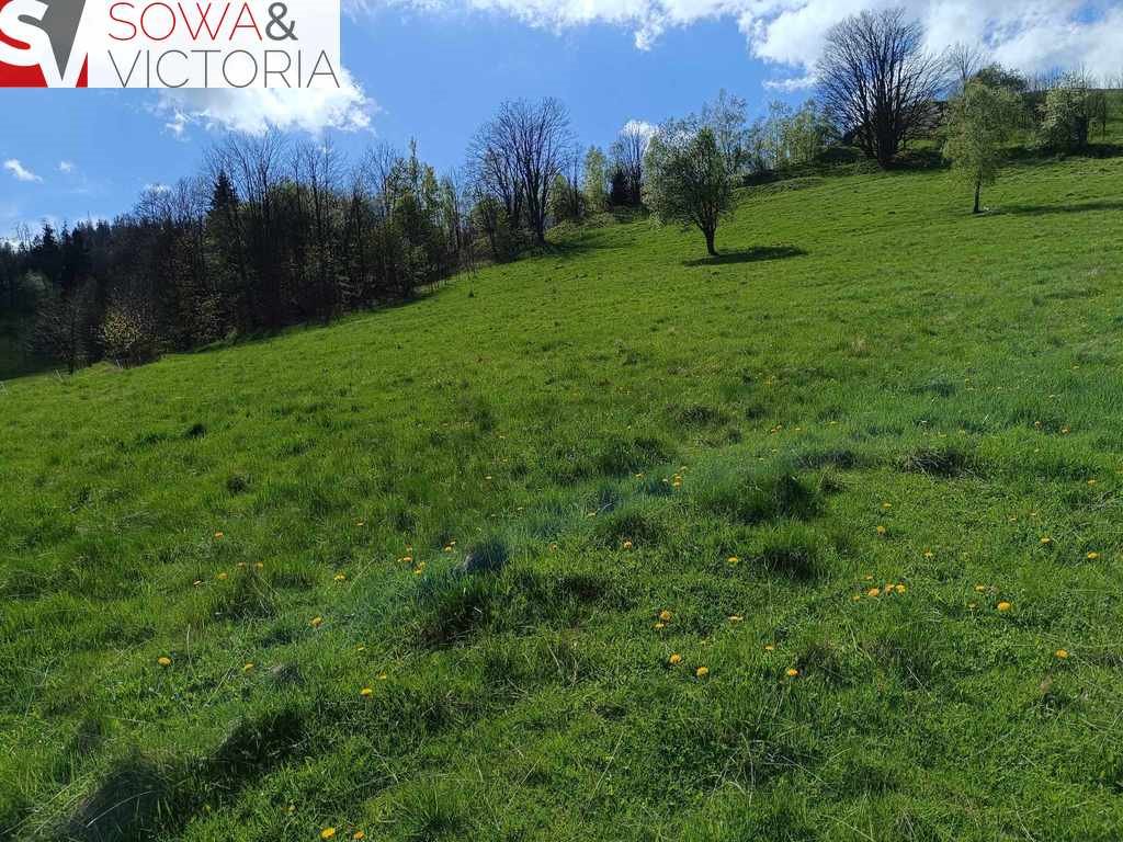 Działka rekreacyjna na sprzedaż Boguszów-Gorce, Stary Lesieniec  7 168m2 Foto 4