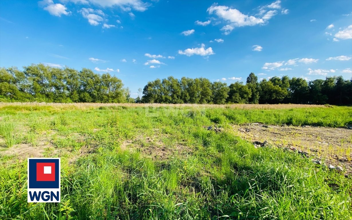 Działka budowlana na sprzedaż Jaworzno, JELEŃ, WIOSNY LUDÓW  667m2 Foto 3