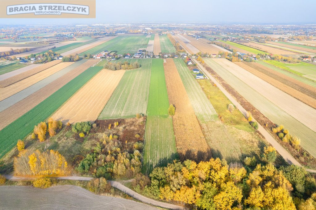 Działka budowlana na sprzedaż Nowe Faszczyce  16 700m2 Foto 9