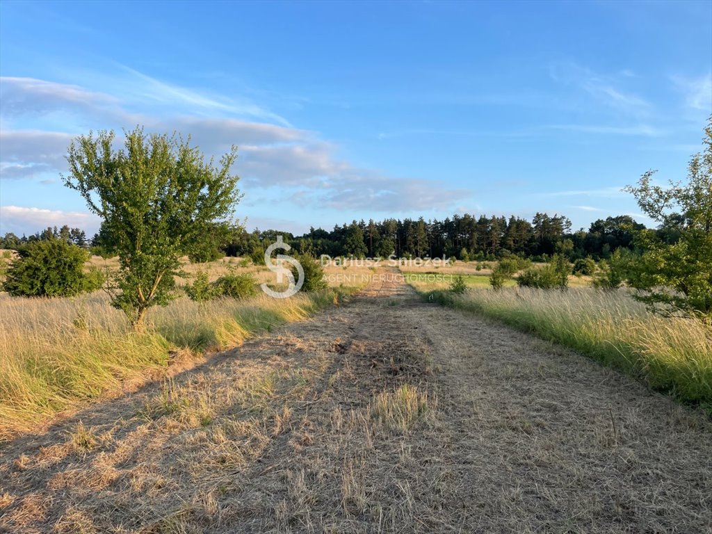 Działka inna na sprzedaż Czepino  1 137m2 Foto 4