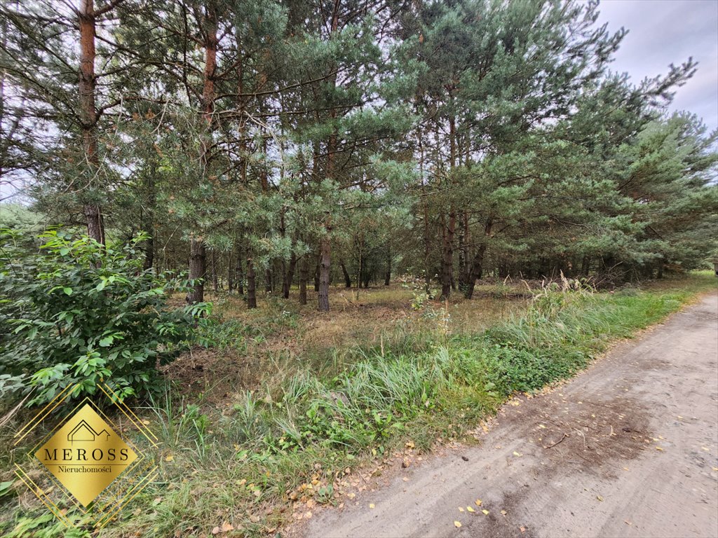 Działka rekreacyjna na sprzedaż Ostrowy nad Okszą  500m2 Foto 9