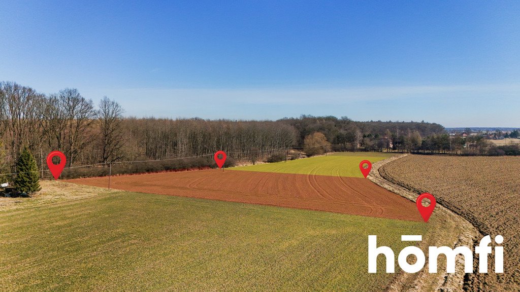 Działka rolna z lasem, 49 ar, możliwość budowy Wola Batorska  4 900m2 Foto 1