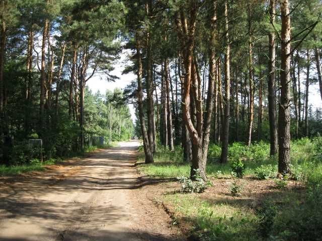 Działka budowlana na sprzedaż Puszczykowo 1 160m2 Foto 1 Działka budowlana na sprzedaż Puszczykowo 1 160m2 Foto 1
