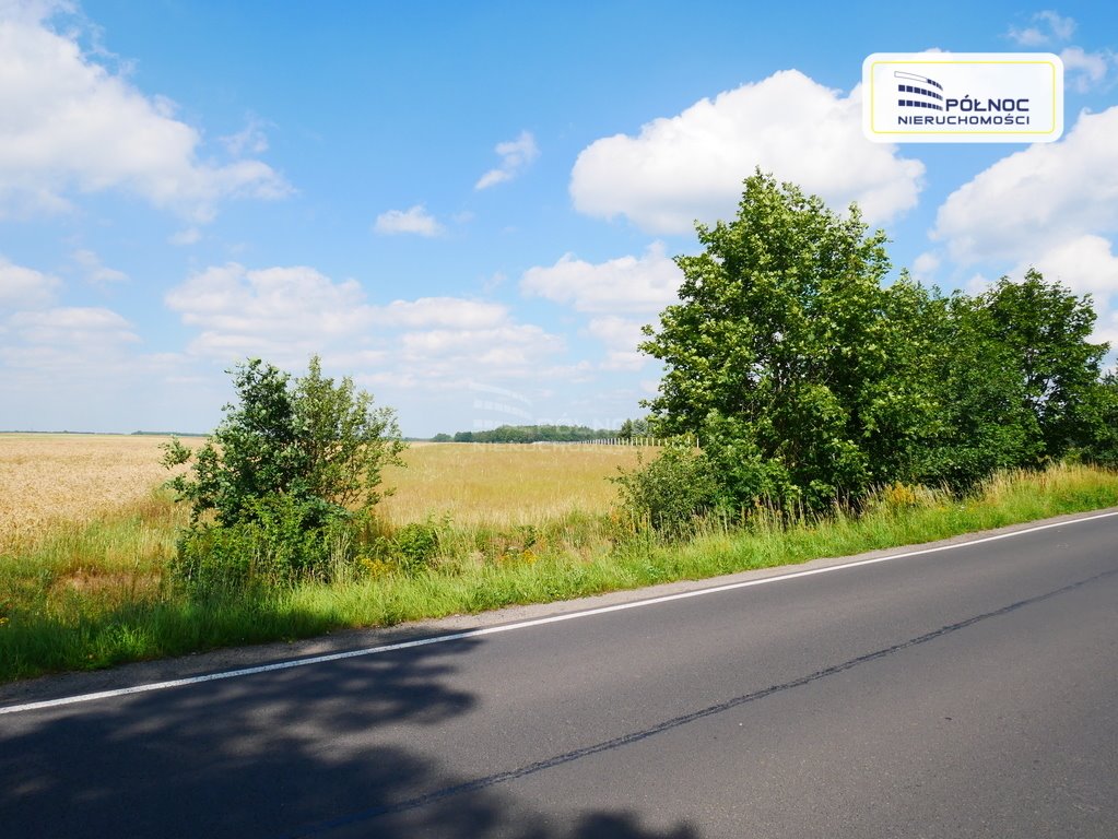 Działka rolna na sprzedaż Zebrzydowa  10 500m2 Foto 1