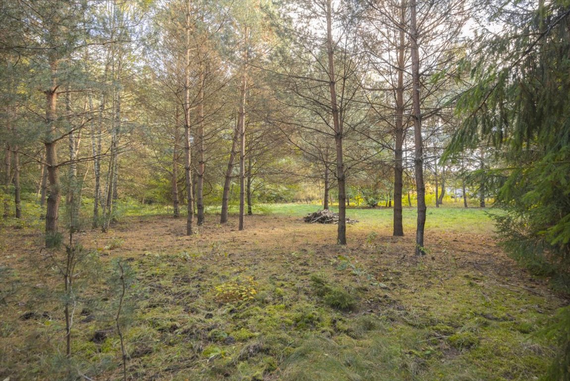 Działka budowlana na sprzedaż Ojrzanów, Jabłoniowa  3 177m2 Foto 7