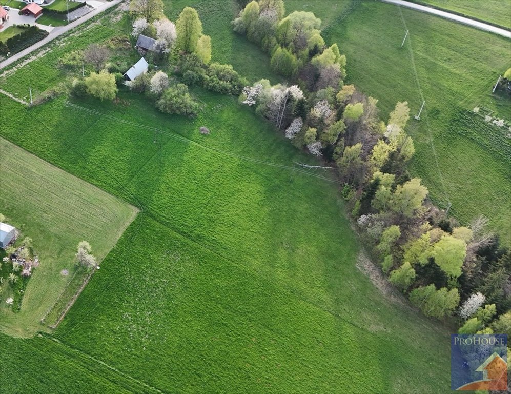 Działka budowlana na sprzedaż Stara Wieś  14 000m2 Foto 2